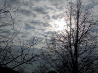 Saját képek és videók minden nap!