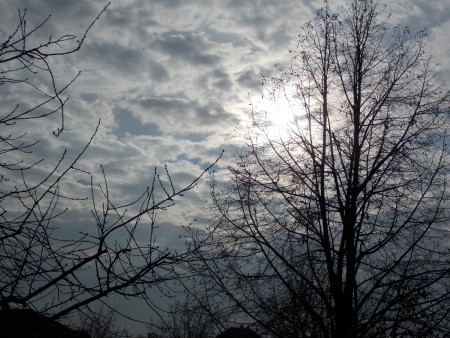 Saját képek és videók minden nap!